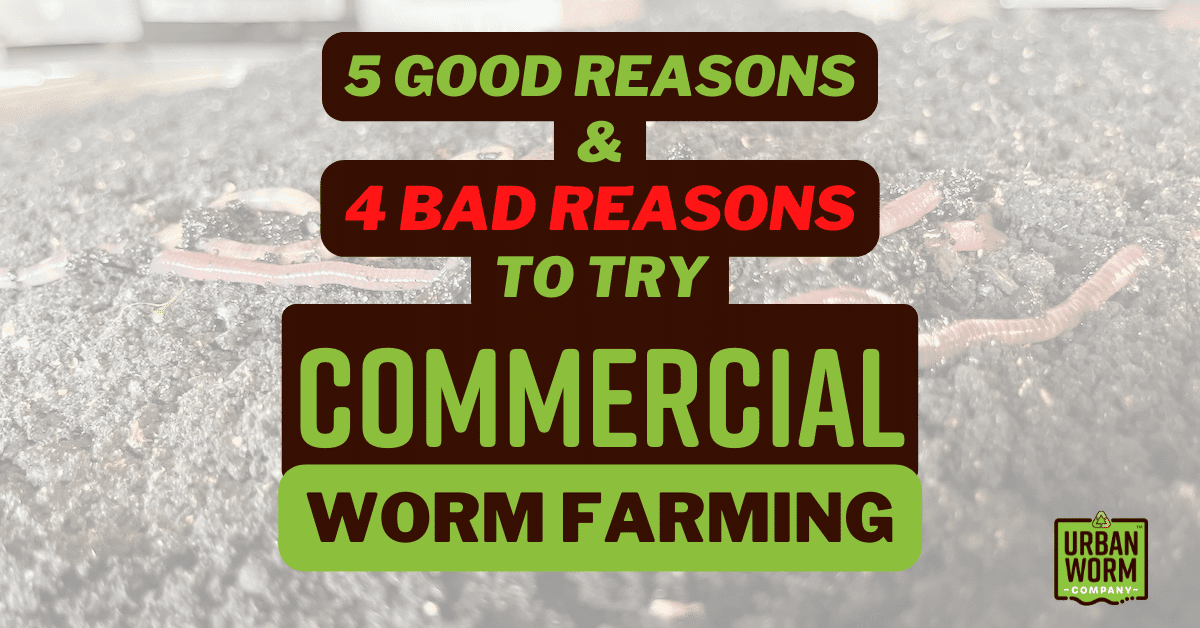 http://urbanwormcompany.com/wp-content/uploads/2022/08/Commercial-worm-farming-advice.png