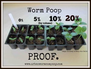 Visual Evidence of the Benefits of Vermicompost 