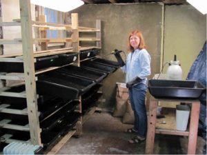 mary-ann-at-work-vermicomposting