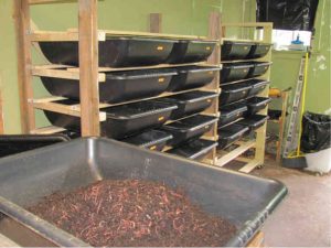 vermiculture-grow-bins