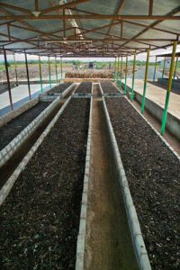 Indian vermicomposting operation