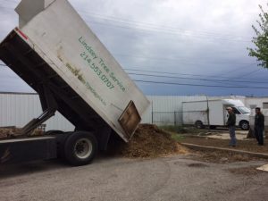 mulch-vermicomposting