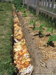 vermicomposting trench