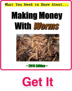 Make-Money-With-Worms-UWC