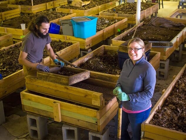 Heather-Rinaldi-Texas-Worm-Fazenda