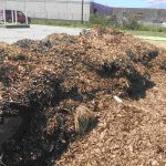 compost-pile-texas-worm-ranch