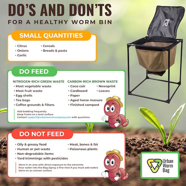 How to Identify the Red Wiggler Composting Worm - Dengarden