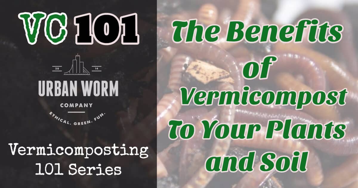 vermicompost-benefits