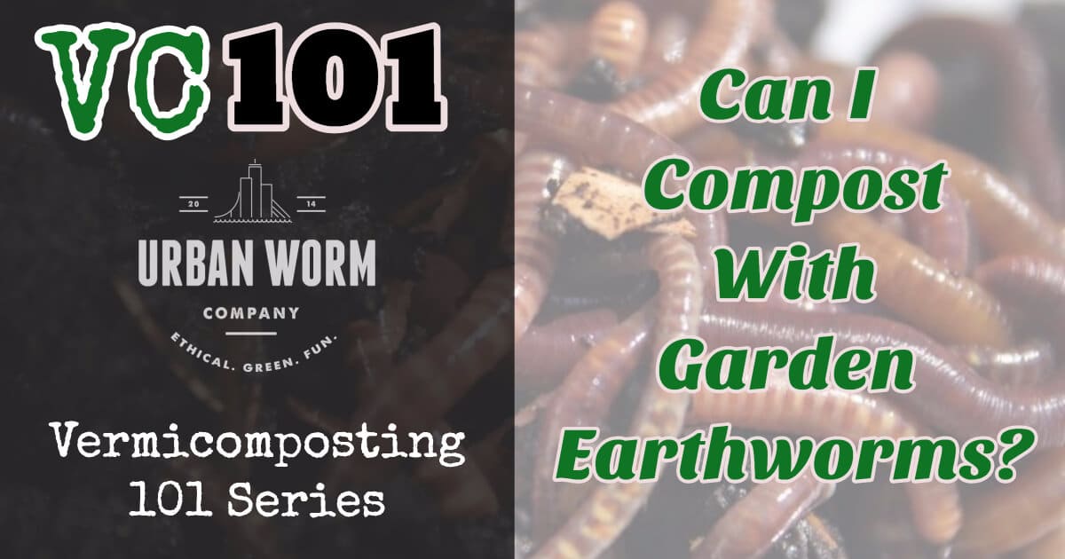 Vermicomposting 101: Can I Use The Worms I Find In My Garden To Vermicompost?