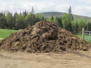 pile of horse manure