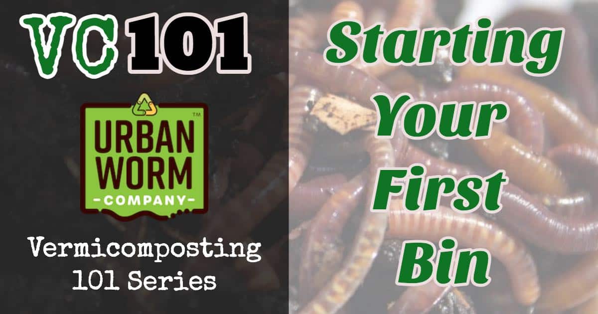 Start Worm Bin Featured Image