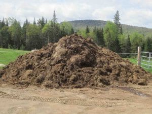 Horse manure for worm bedding