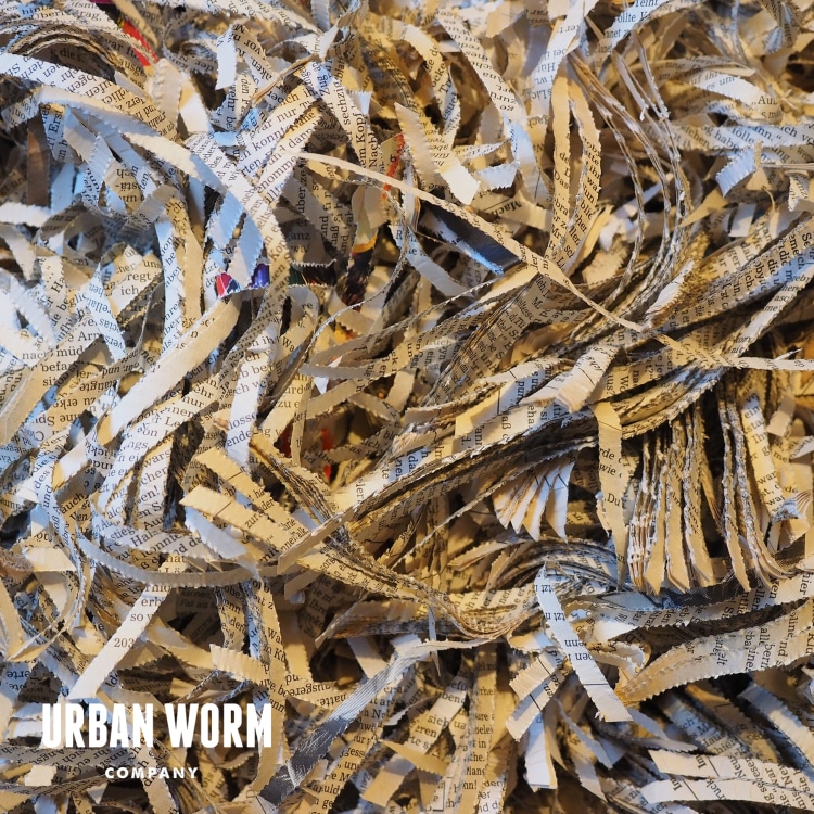 Worm Bedding 9 Awesome Choices