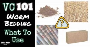 What to use for worm bedding