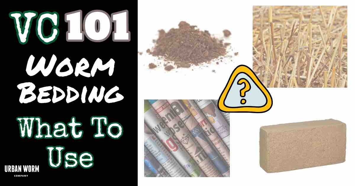 Bedding for Worms: Coir, Leaves or Peat Moss? 