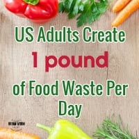 Americans create 1lb of compostable food waste per day