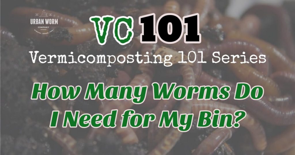How Many Worms Should I Buy for a Worm Compost Bin?