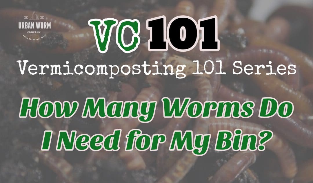 Vermicomposting 101: How Many Worms Do I Need for a Worm Compost Bin?