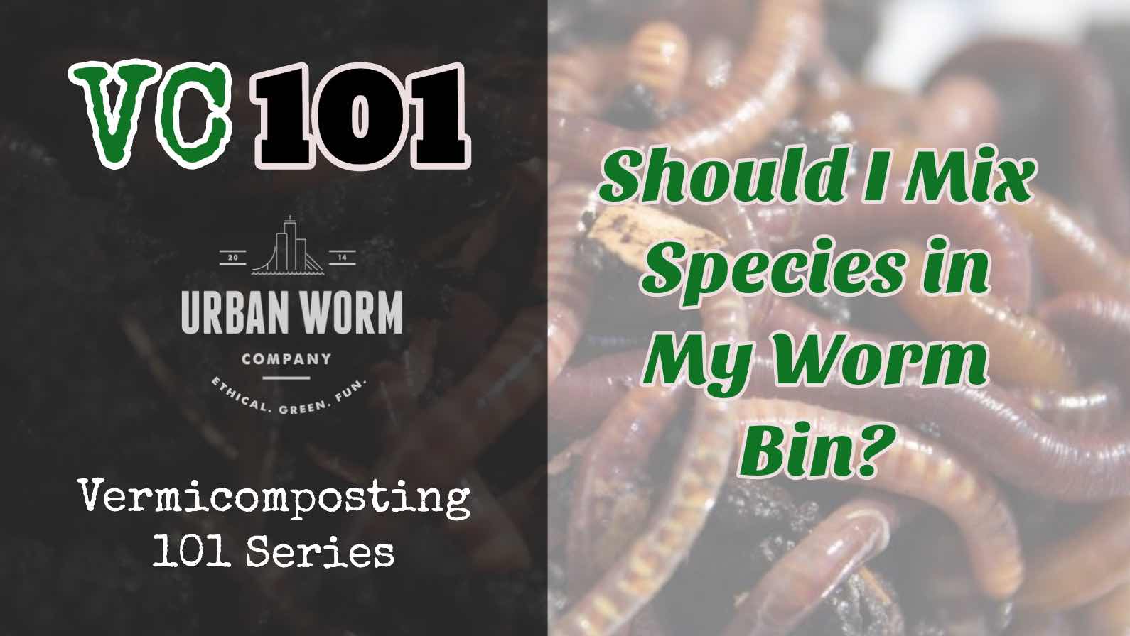 Worm Starter Kit for Vermi Composting in Canada