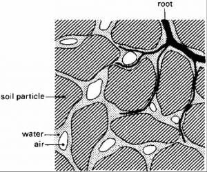 pore space