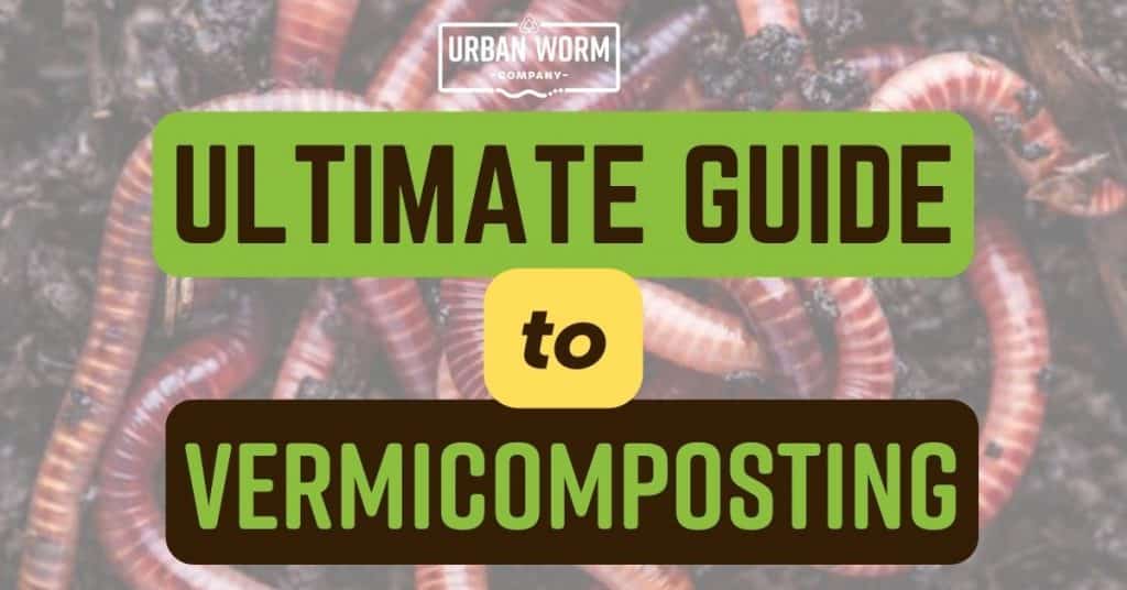 Featured Image for Ultimate Guide to Vermicomposting Post