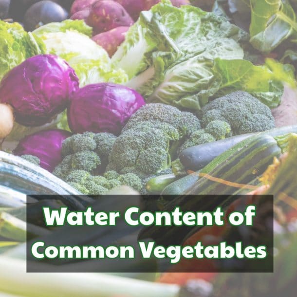 Water Content of Fruits and Vegetables 101