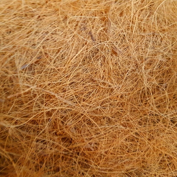 Guide to Coconut Coir How is It Used and Why?
