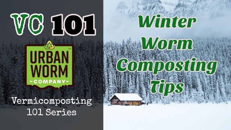 Winter Vermicomposting Featured Images