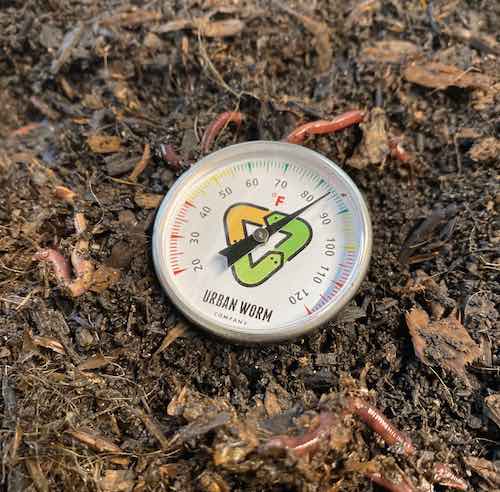 Urban Worm Thermometer