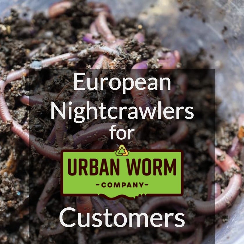 Local Pickup Price List For Worms, Vermicompost, Worm Farms