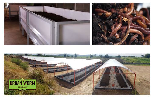 Start a Worm Farming or Composting Business - Urban Worm Company