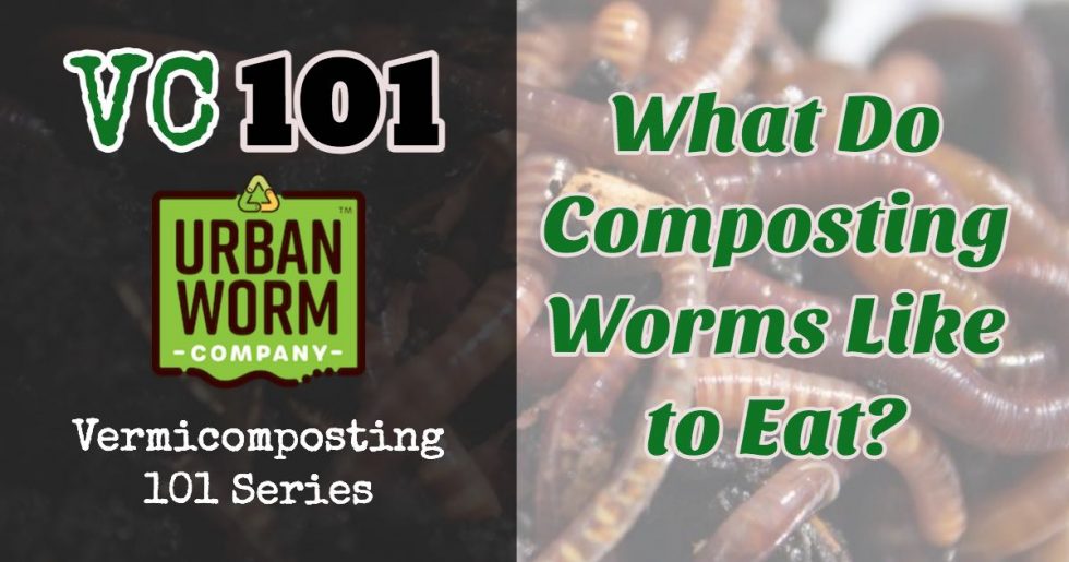 What Do Worms Eat? A Road Map for What To Feed Your Worms