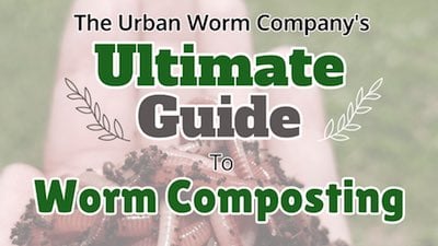 vermicomposting-guide