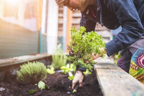 urban worm bag - farm & garden - by owner - sale - craigslist