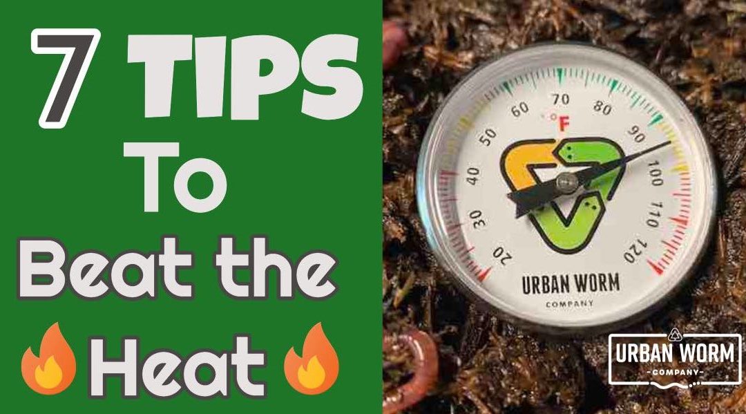 Hot Weather 7 Tips to Beat 100°F Temps