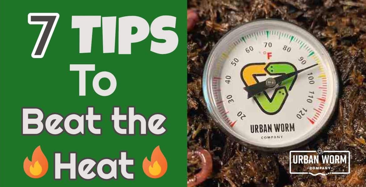 Urban Worm Soil Thermometer - Keep Microbes and Worms Happy for Gardening and Wo