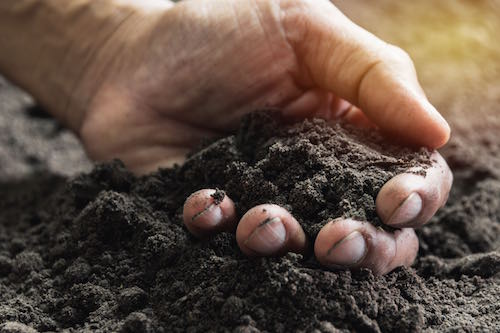 Activated Carbon Vs. Inoculated Biochar - CharGrow