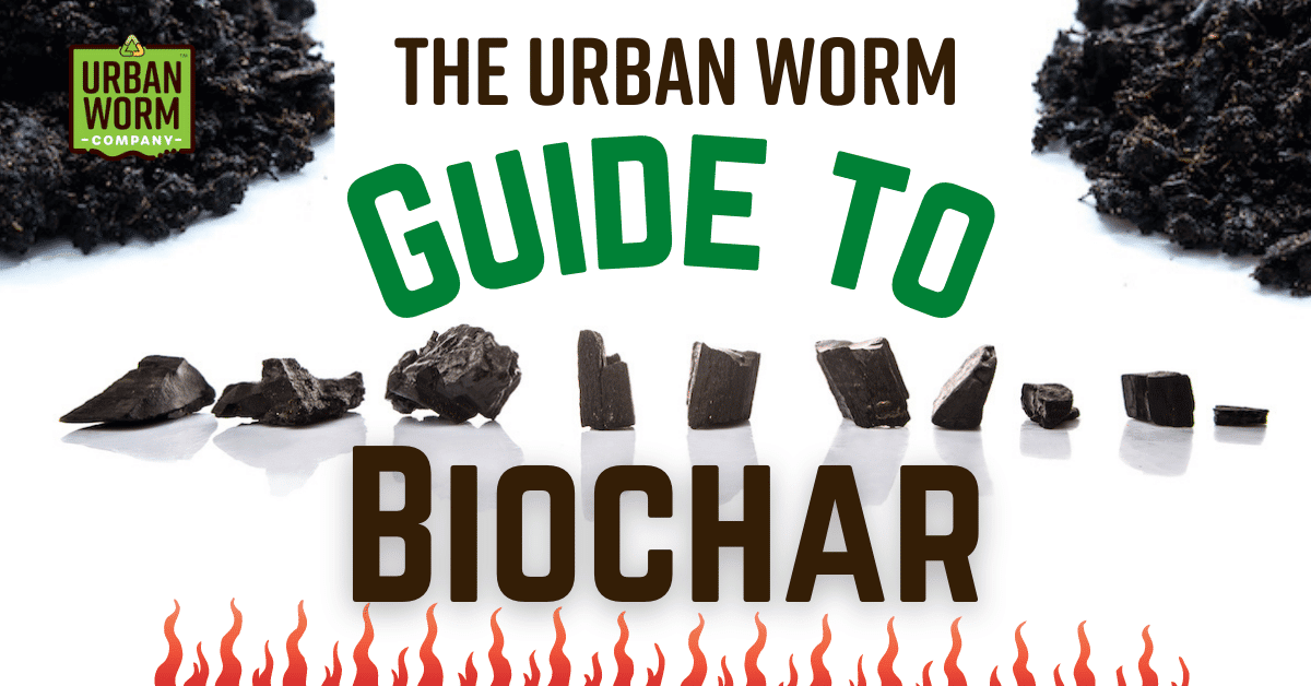 Biochar 1010 Guide Featured Image