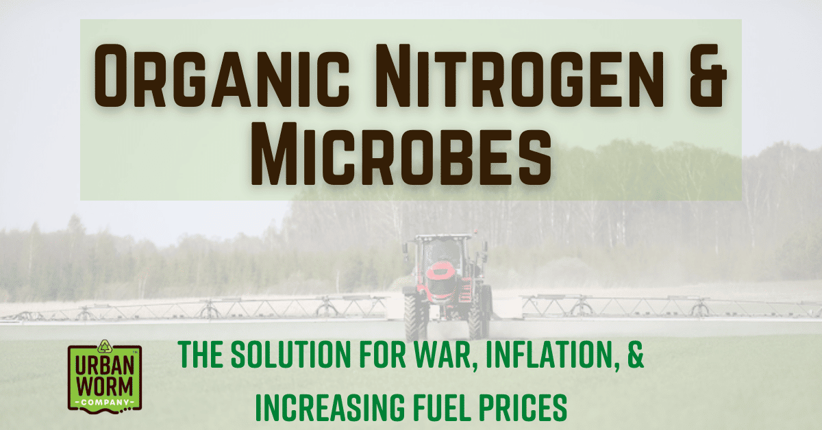Featured Image of Organic Nitrogen Fertilizer article