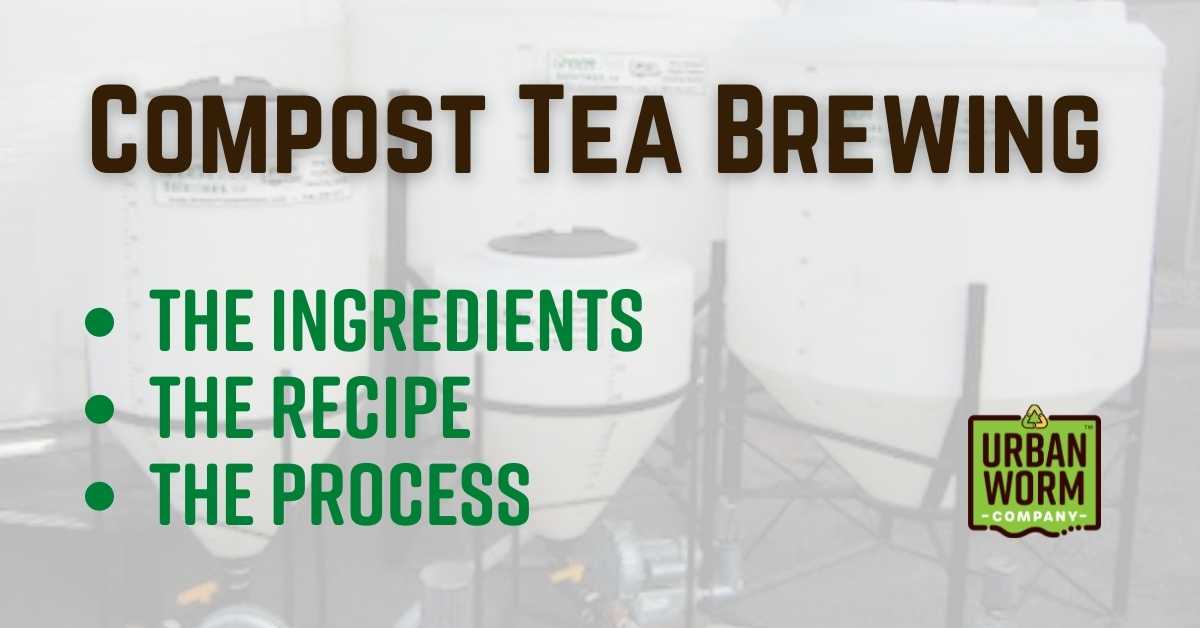 compost-tea-recipe-featured-image