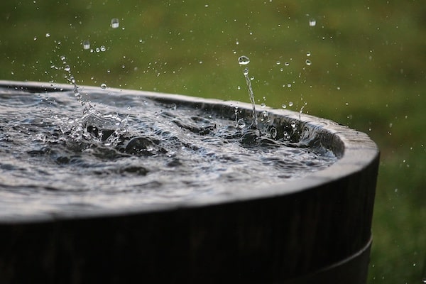 water in a barrel to make compost tea