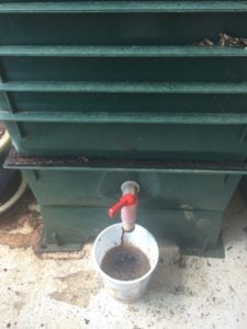 leachate from bottom of worm bin