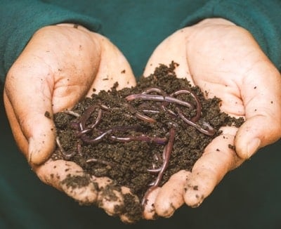 hands holding soil