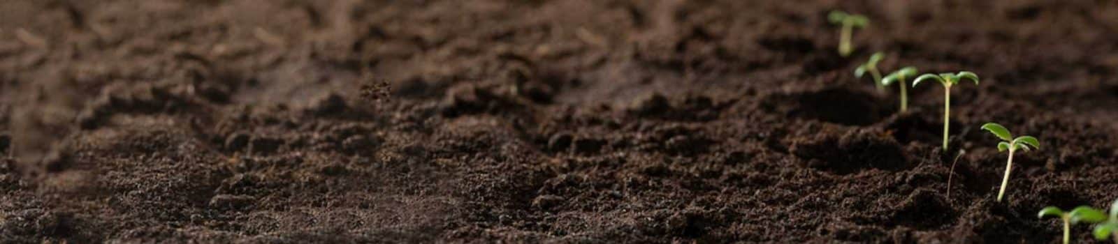 Image of Soil for Home Page Banner