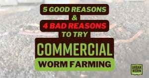 Featured Image for Commercial Worm Farming Blog Post