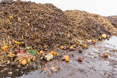 Large heap of rotten fruits and vegetables at compost sorting and recycling station. Separate organic waste collection and compost